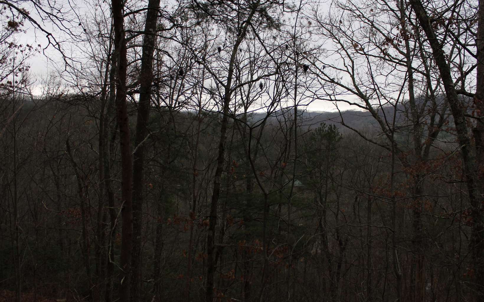 2 Acres of Land for Sale in Hayesville, North Carolina