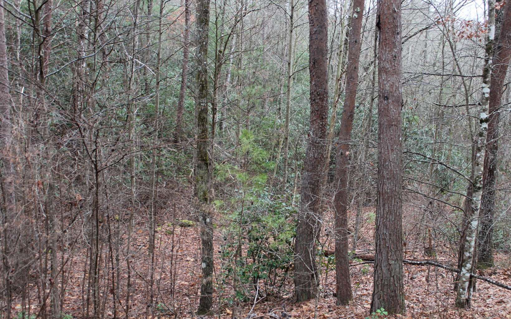 1.62 Acres of Land for Sale in Hayesville, North Carolina