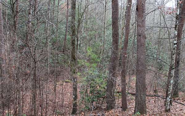 1.62 Acres of Land for Sale in Hayesville, North Carolina