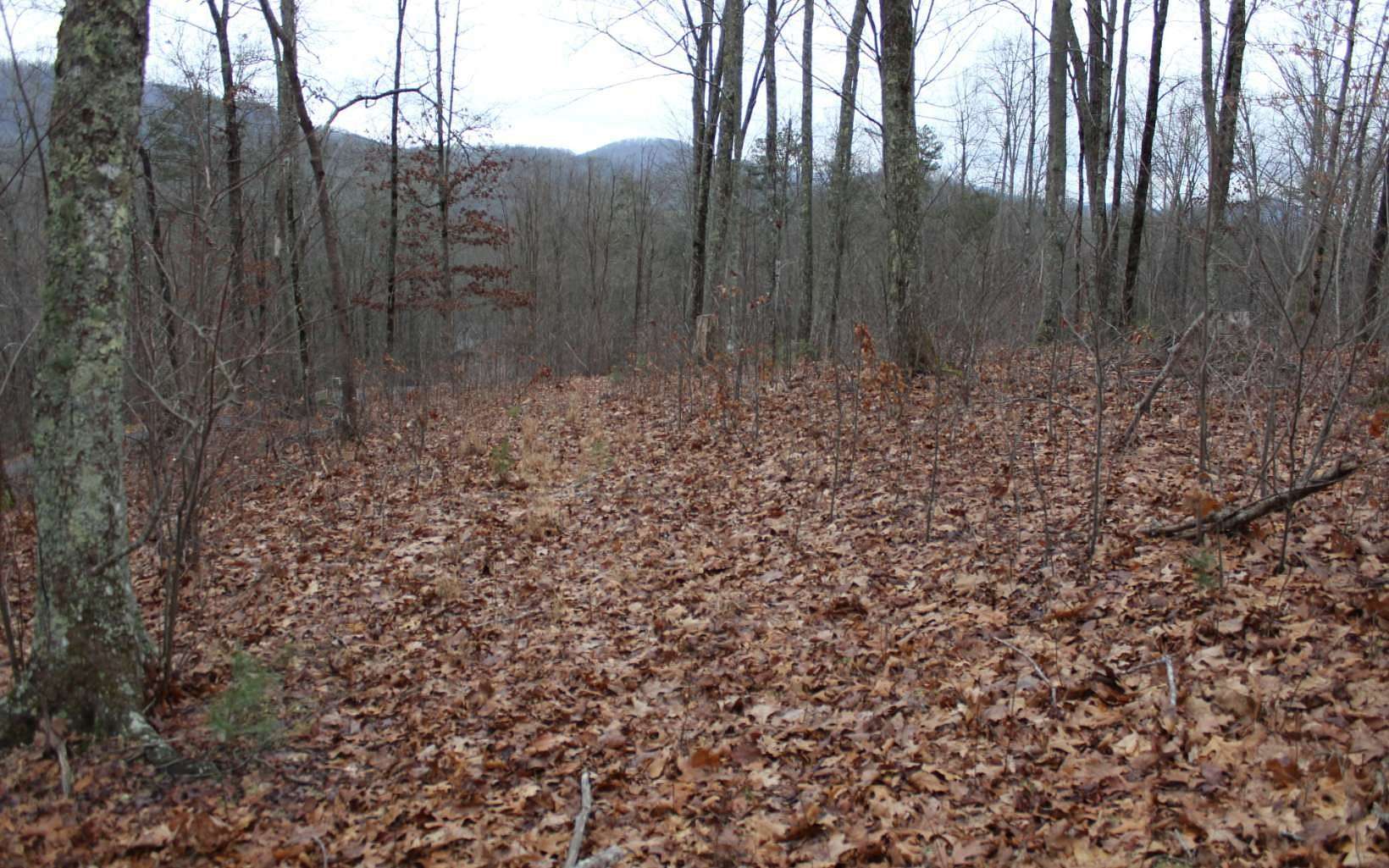 1 Acre of Land for Sale in Hayesville, North Carolina