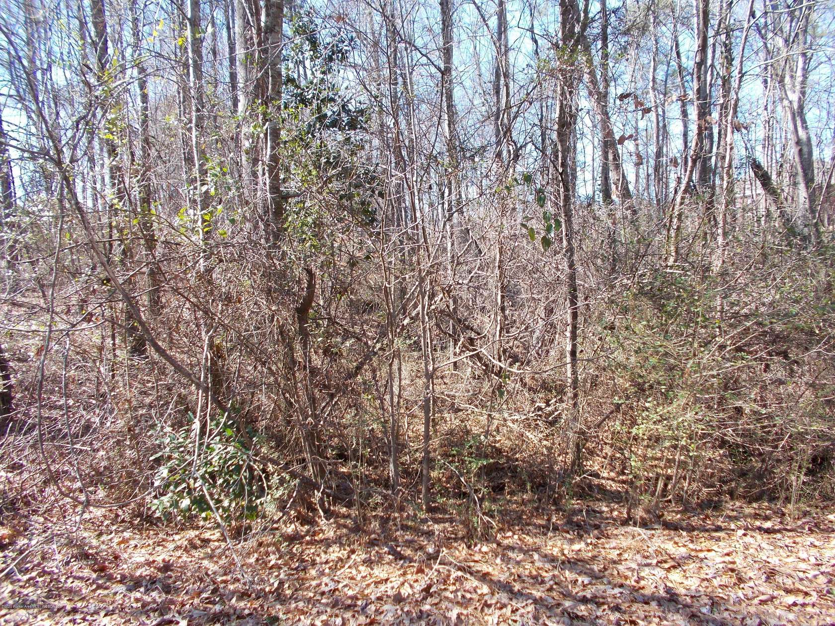 Residential Land for Sale in Jasper, Alabama