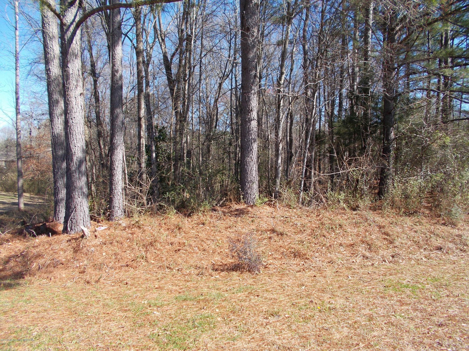 Residential Land for Sale in Jasper, Alabama