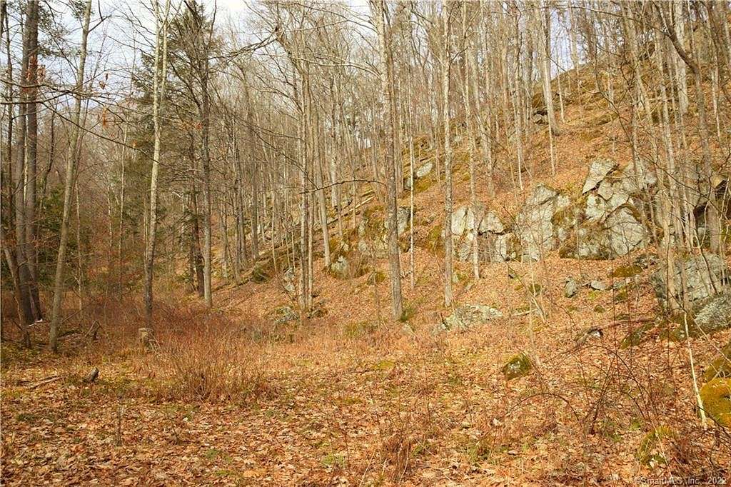 28.7 Acres of Land for Sale in Canaan, Connecticut