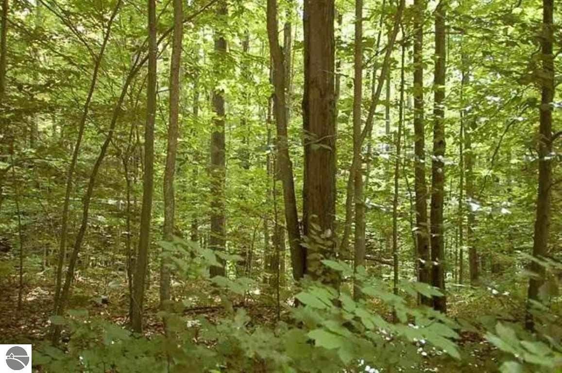 0.78 Acres of Residential Land for Sale in Houghton Lake, Michigan
