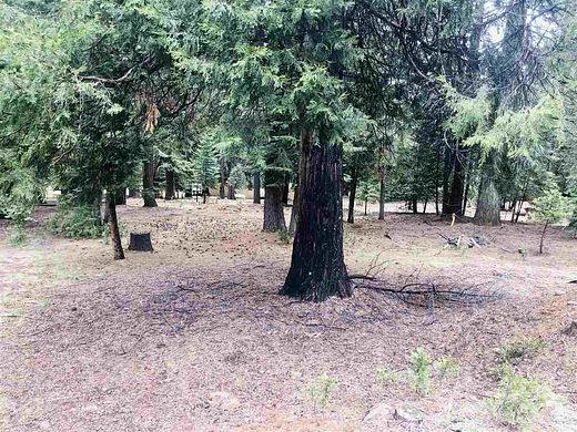 0.43 Acres of Residential Land for Sale in Lake Almanor Country Club, California