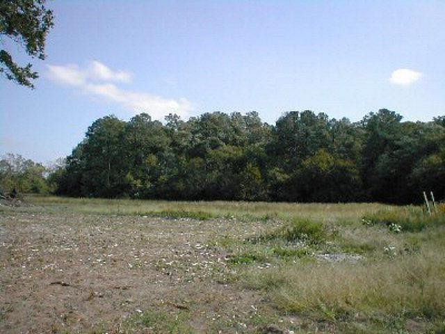3.3 Acres of Land for Sale in Parksley, Virginia