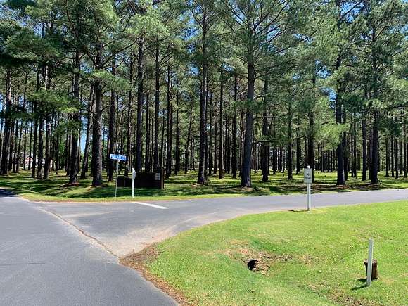 1 Acre of Residential Land for Sale in Manning, South Carolina
