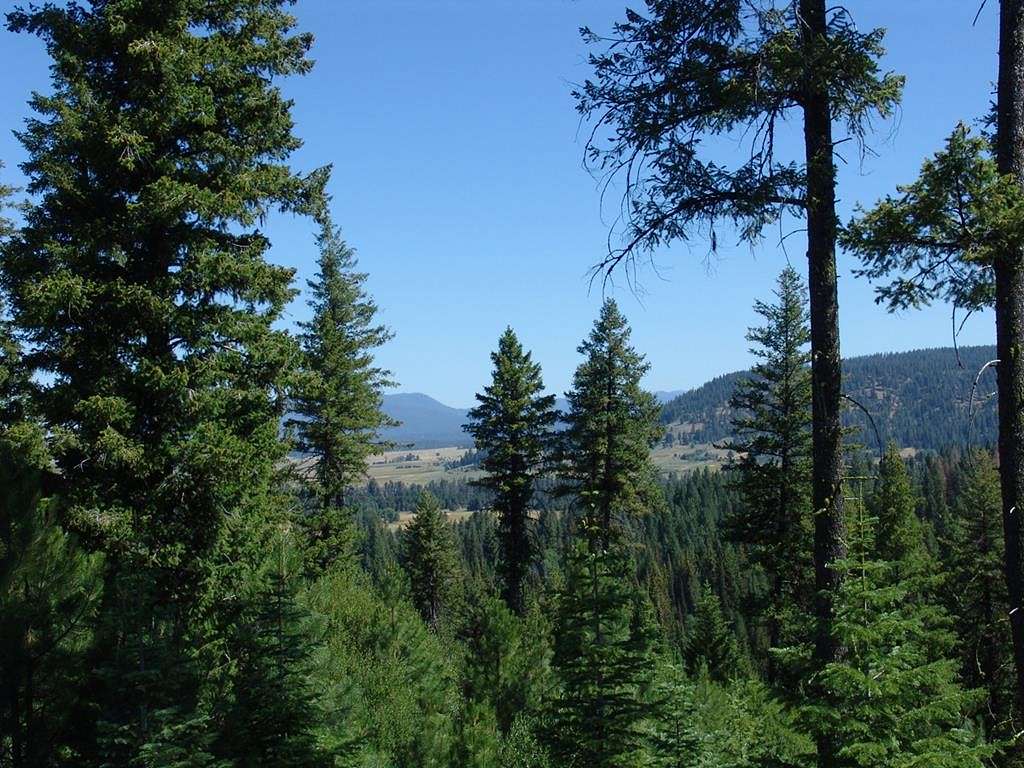 348 Acres of Land for Sale in Cascade, Idaho