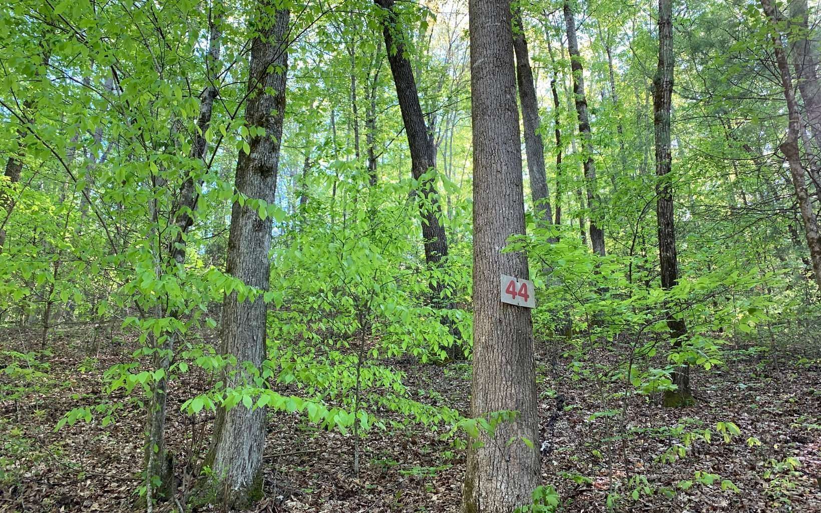 4.5 Acres of Residential Land for Sale in Hayesville, North Carolina