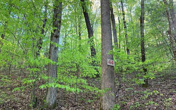 4.5 Acres of Residential Land for Sale in Hayesville, North Carolina