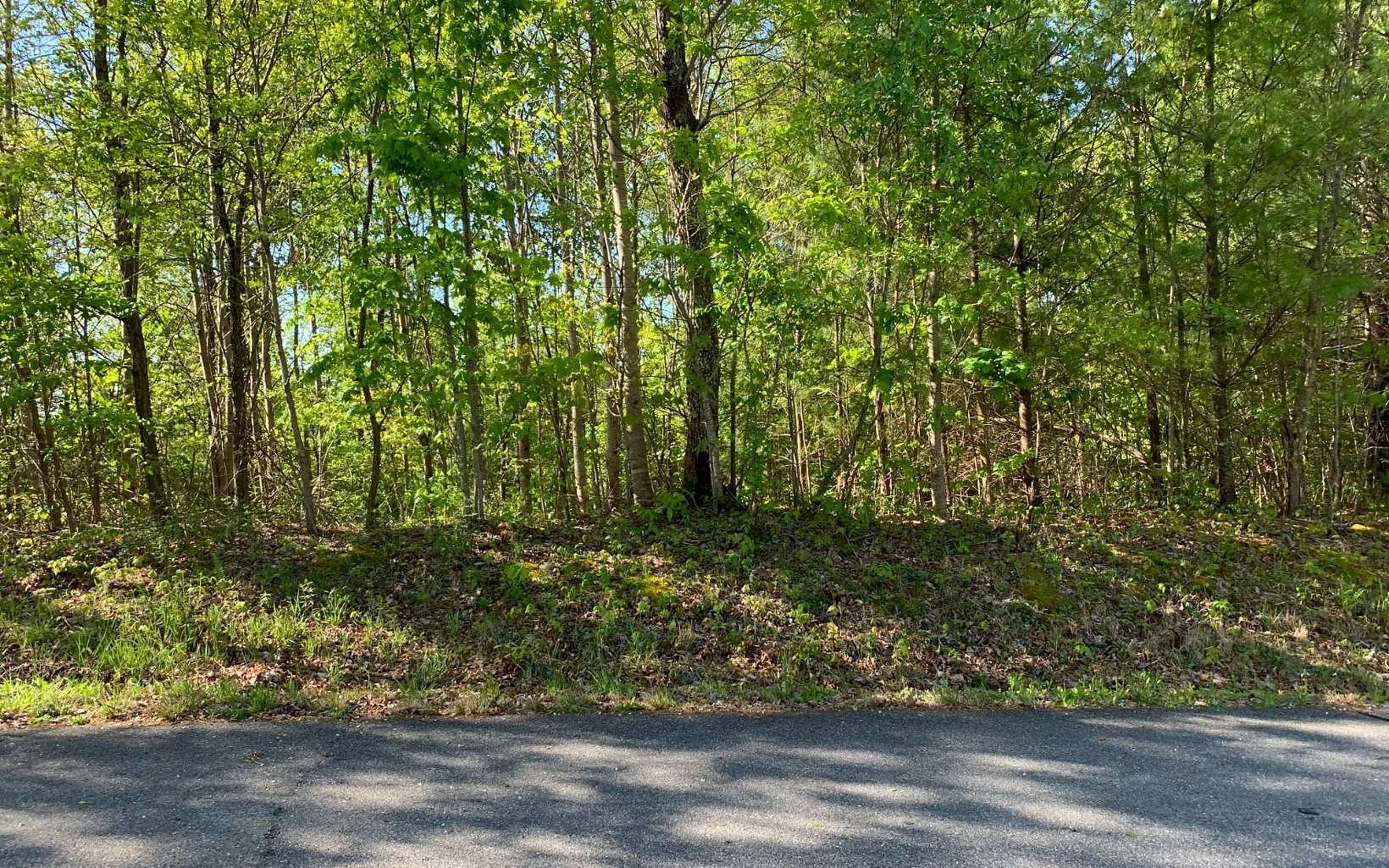 4.02 Acres of Land for Sale in Hayesville, North Carolina