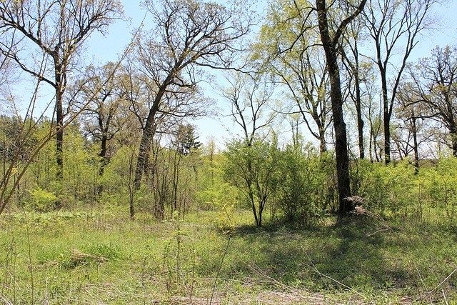 0.8 Acres of Residential Land for Sale in Morrison, Illinois