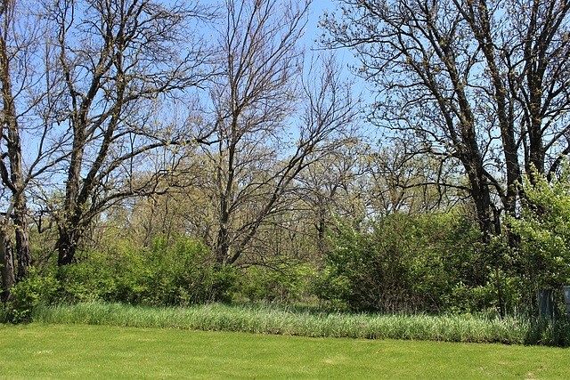 0.7 Acres of Residential Land for Sale in Morrison, Illinois