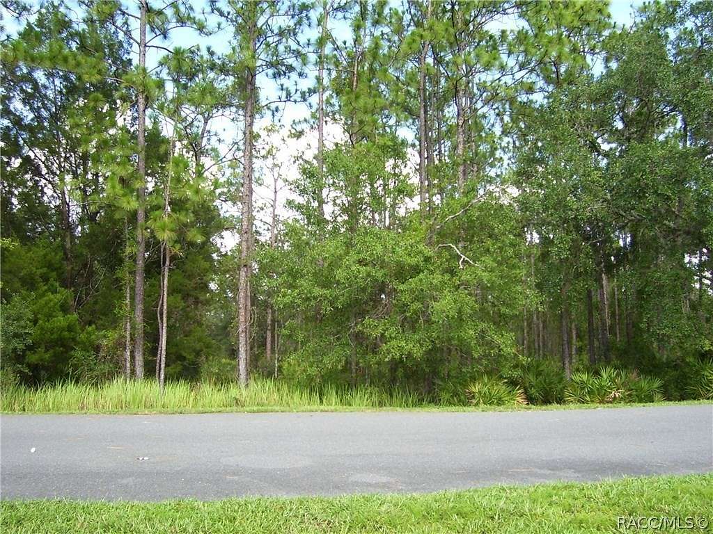 1.81 Acres of Residential Land for Sale in Homosassa, Florida