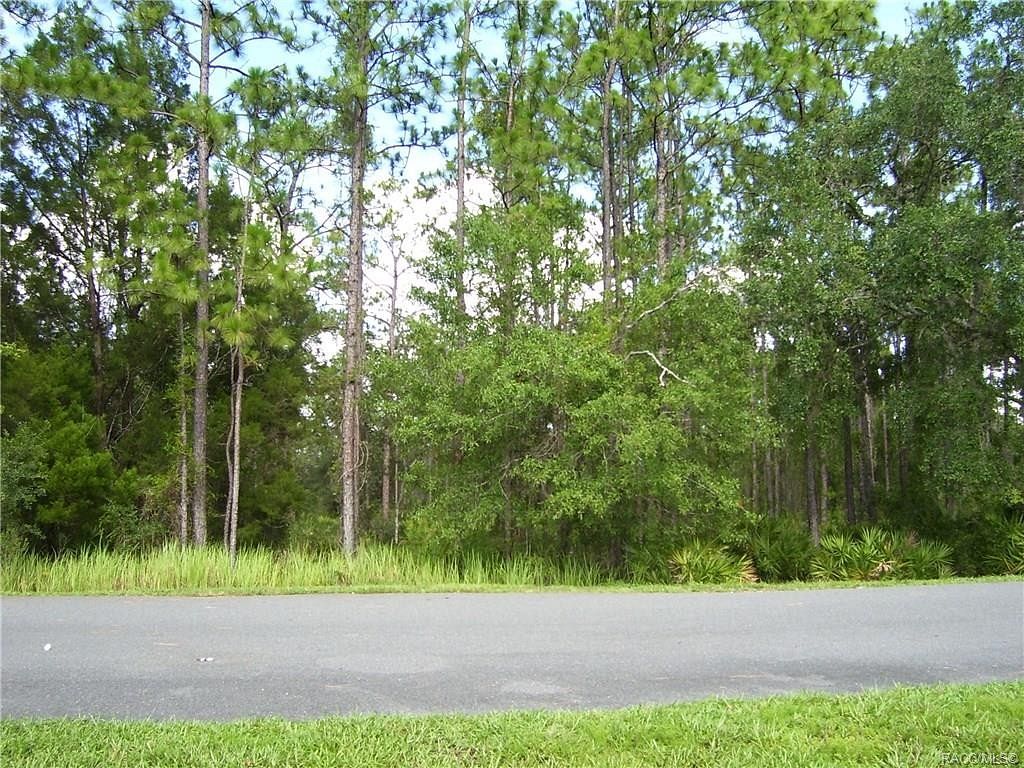 1.8 Acres of Residential Land for Sale in Homosassa, Florida