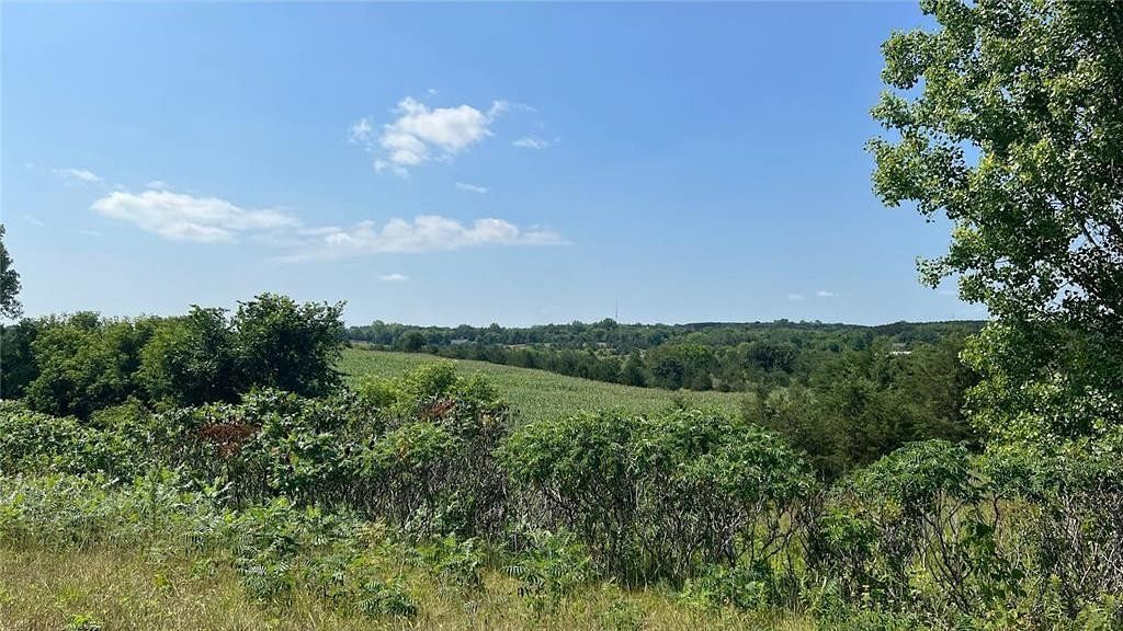 42.9 Acres of Land for Sale in Hudson, Wisconsin
