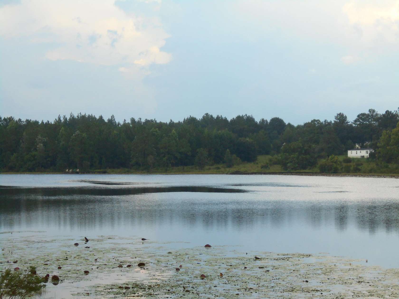 0.95 Acres of Land for Sale in Alford, Florida