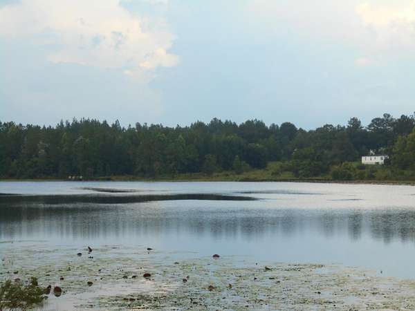 0.95 Acres of Land for Sale in Alford, Florida