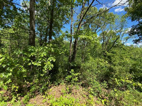 0.75 Acres of Residential Land for Sale in Cape Fair, Missouri