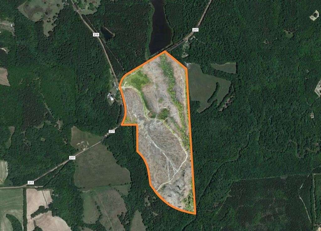 110 Acres of Land for Sale in Elba, Alabama