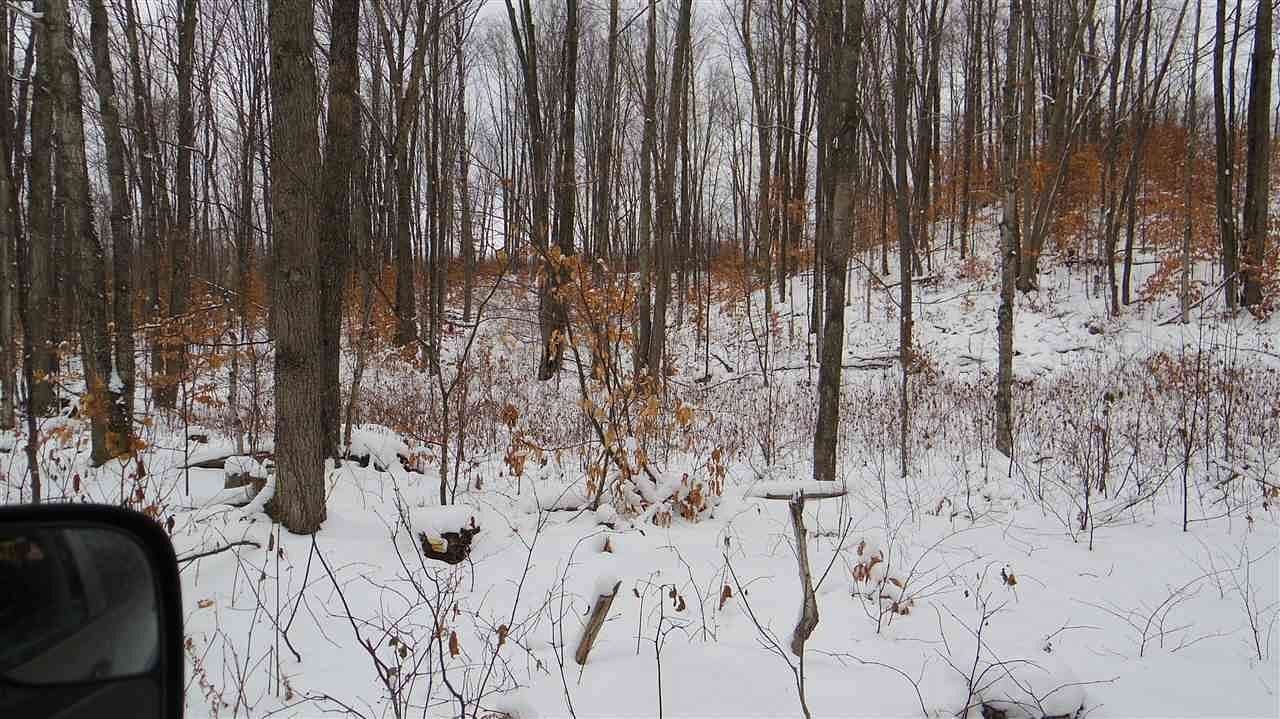40 Acres of Recreational Land for Sale in Boyne Falls, Michigan