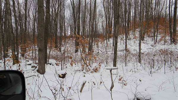 40 Acres of Recreational Land for Sale in Boyne Falls, Michigan