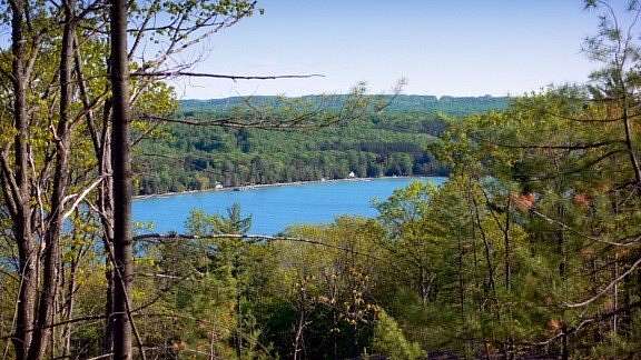 1 Acre of Land for Sale in Walloon Lake, Michigan