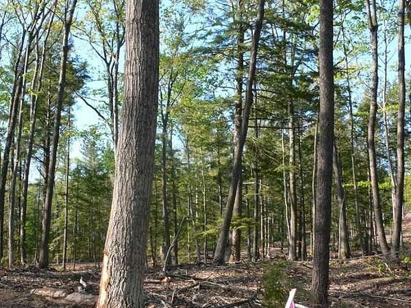 1.13 Acres of Land for Sale in Walloon Lake, Michigan
