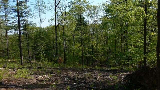 1 Acre of Land for Sale in Walloon Lake, Michigan