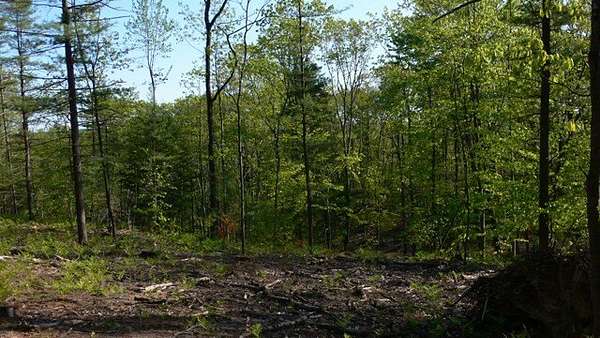 1 Acre of Land for Sale in Walloon Lake, Michigan