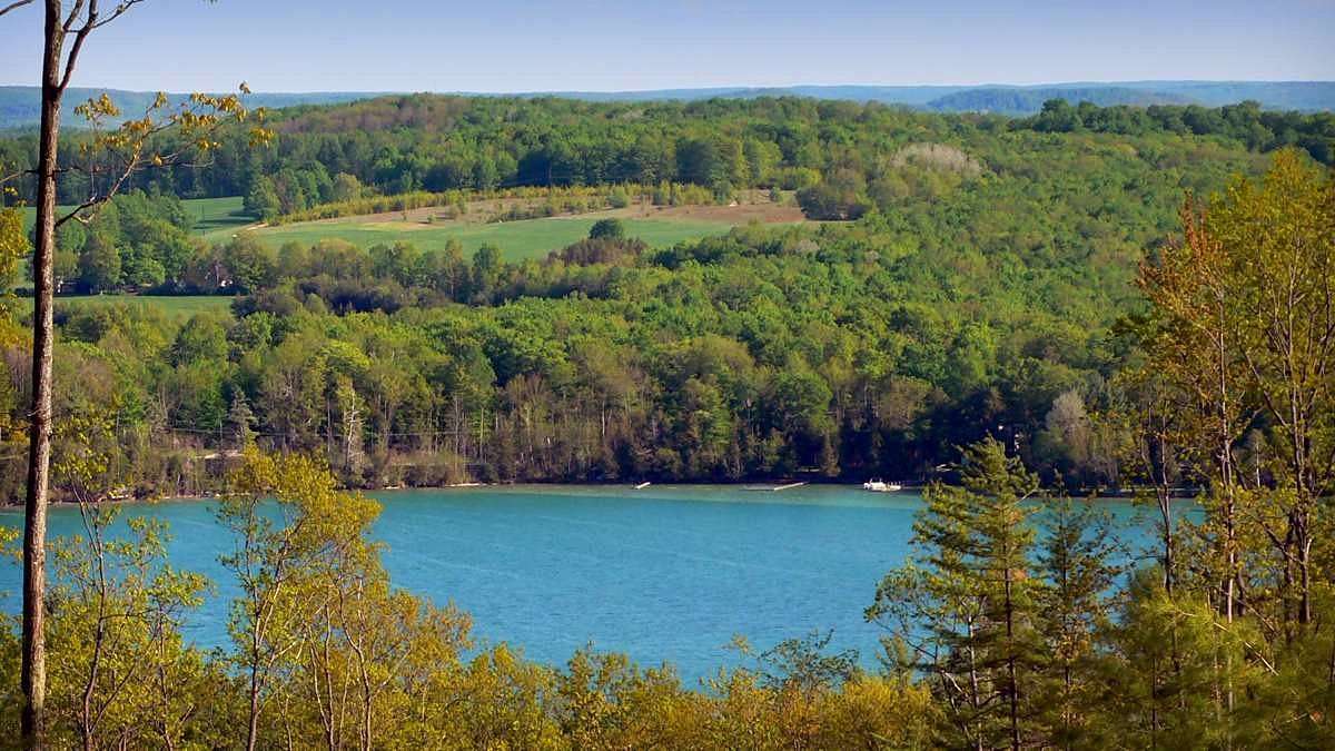 1 Acre of Land for Sale in Walloon Lake, Michigan