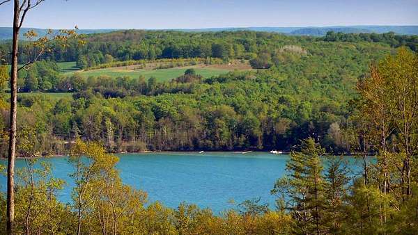 1 Acre of Land for Sale in Walloon Lake, Michigan