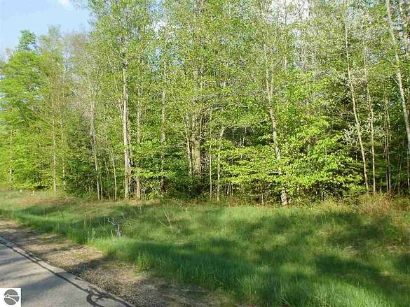 1 Acre of Residential Land for Sale in Cadillac, Michigan