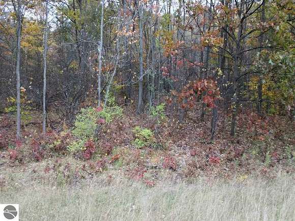 1.1 Acres of Residential Land for Sale in Cadillac, Michigan