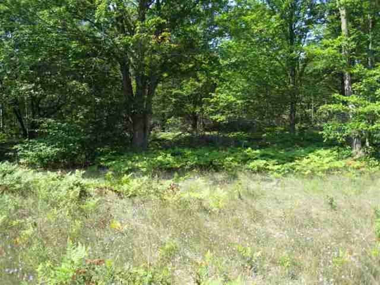 10.2 Acres of Land for Sale in Petoskey, Michigan