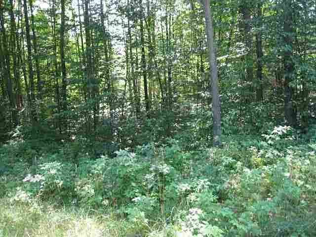 10.5 Acres of Land for Sale in Petoskey, Michigan