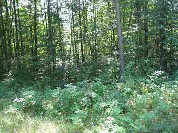 10.5 Acres of Land for Sale in Petoskey, Michigan