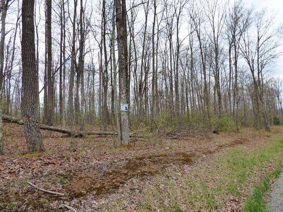 Land for Sale in Daniels, West Virginia