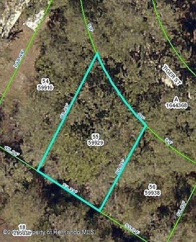 0.114 Acres of Residential Land for Sale in Ridge Manor, Florida