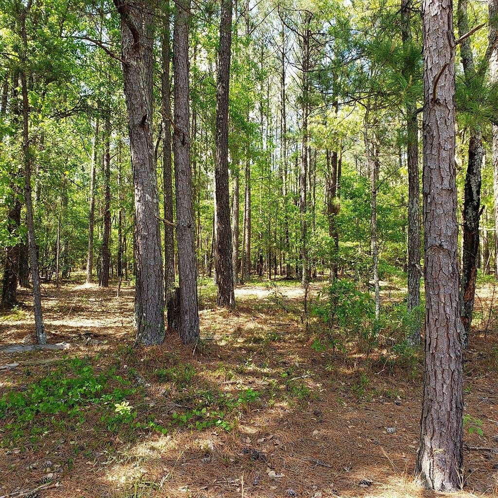 6.1 Acres of Residential Land for Sale in Ridge Spring, South Carolina