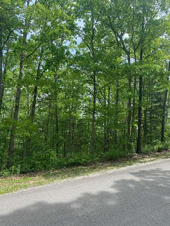 0.59 Acres of Land for Sale in Branson West, Missouri