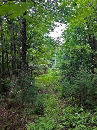 40.2 Acres of Recreational Land for Sale in Queensbury, New York