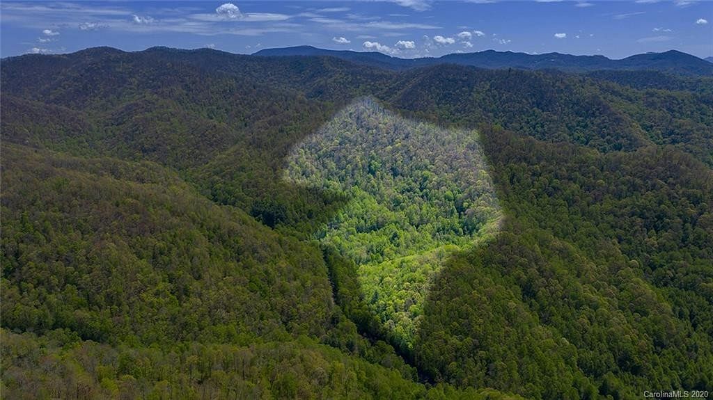 55.5 Acres of Land for Sale in Marshall, North Carolina