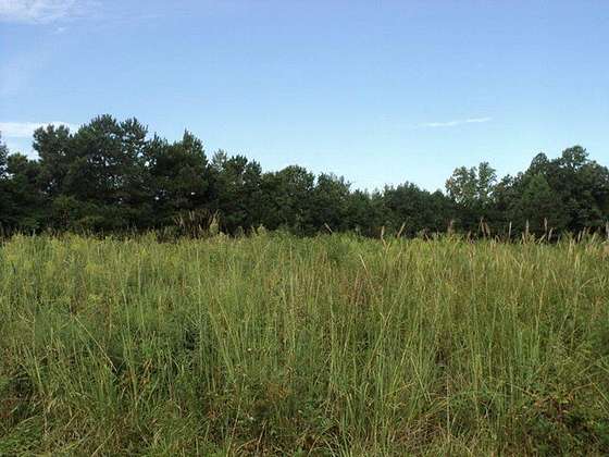 5.4 Acres of Commercial Land for Lease in Washington, North Carolina