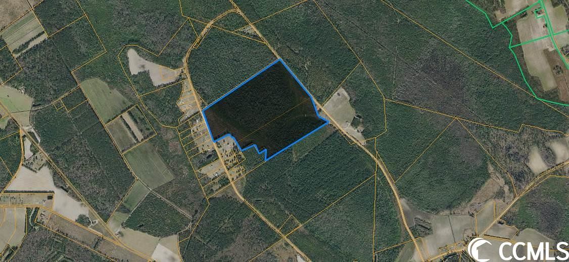 98.4 Acres of Recreational Land for Sale in Nichols, South Carolina