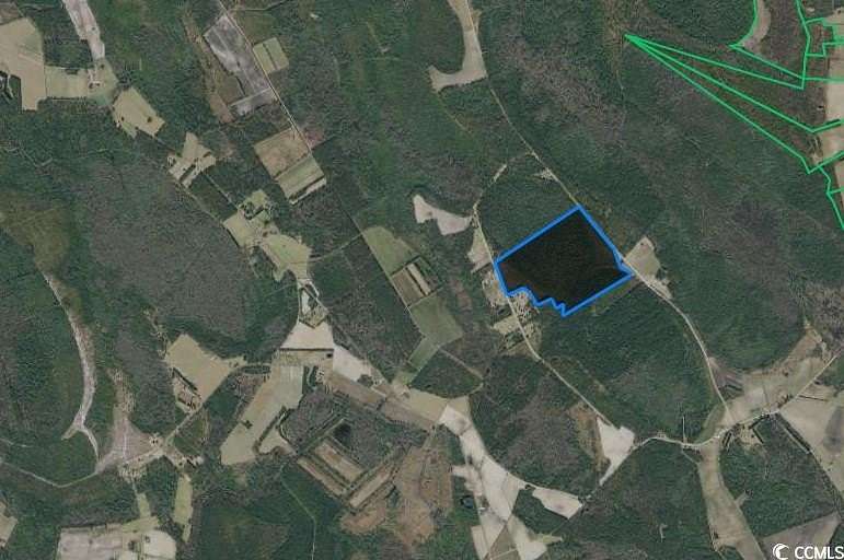 98.42 Acres of Recreational Land for Sale in Nichols, South Carolina