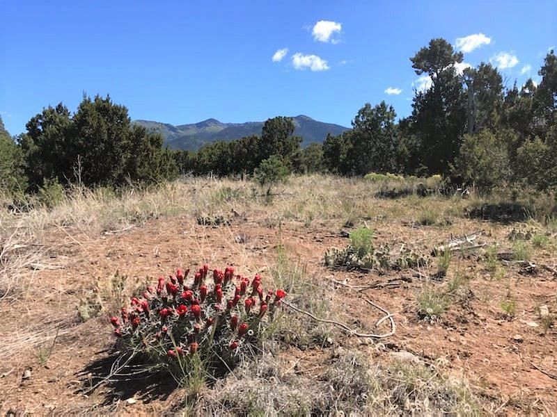 10.1 Acres of Land for Sale in Taos, New Mexico