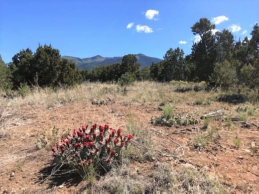10.1 Acres of Land for Sale in Taos, New Mexico