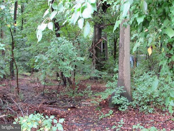 1.1 Acres of Land for Sale in Carneys Point, New Jersey