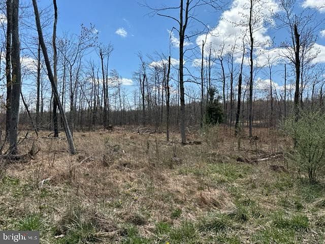2.3 Acres of Residential Land for Sale in Mount Storm, West Virginia